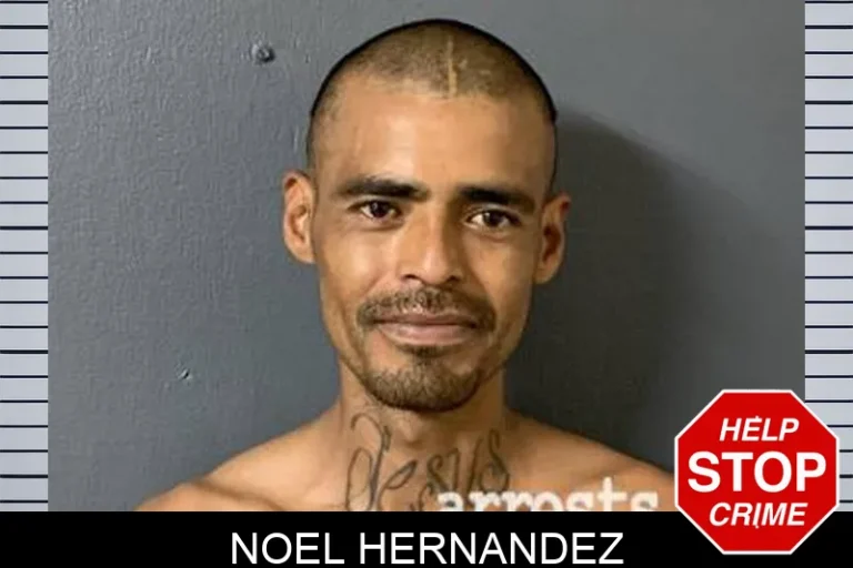 Noel Hernandez