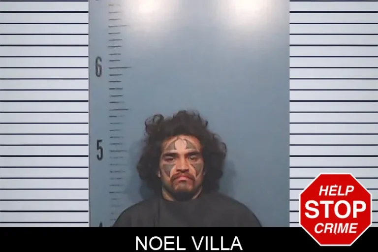 Noel Villa