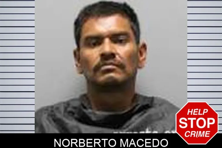Norberto Macedo