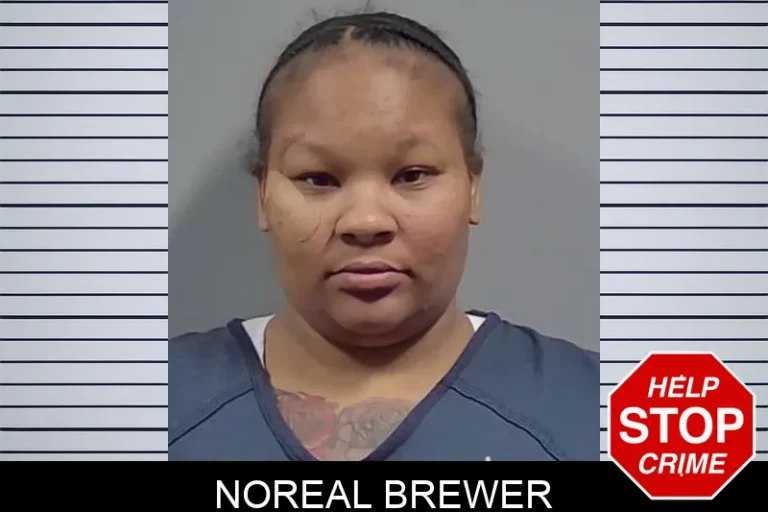 Noreal Brewer