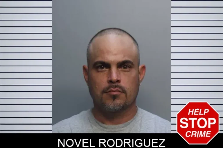 Novel Rodriguez