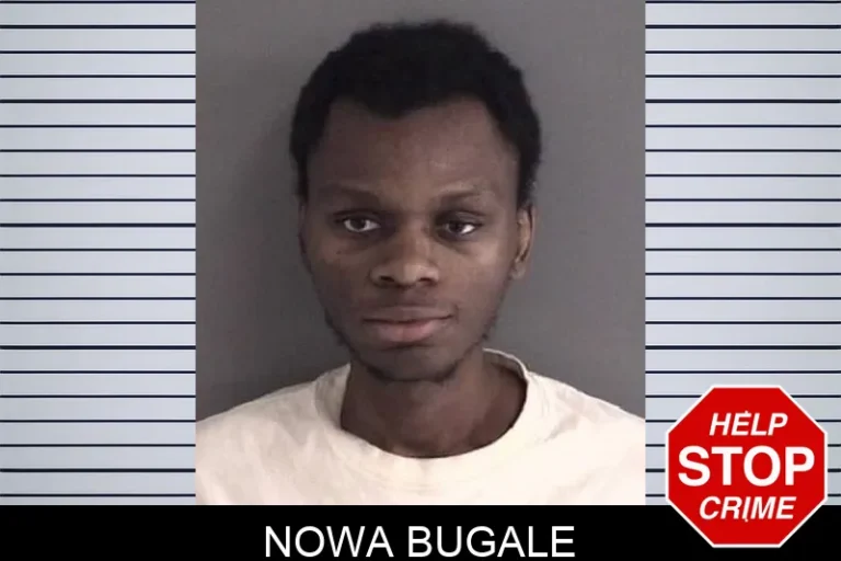 Nowa Bugale