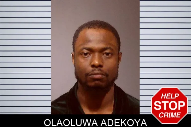 Olaoluwa Adekoya