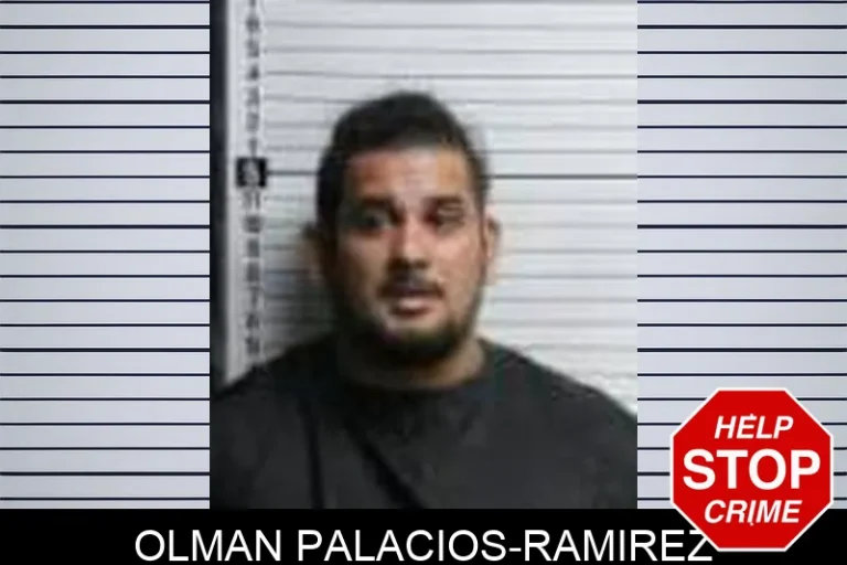 Olman Palacios-Ramirez