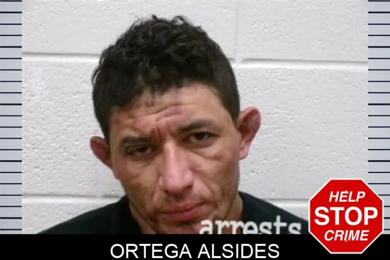 Ortega Alsides