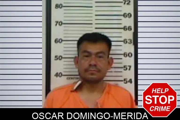 Oscar Domingo-Merida