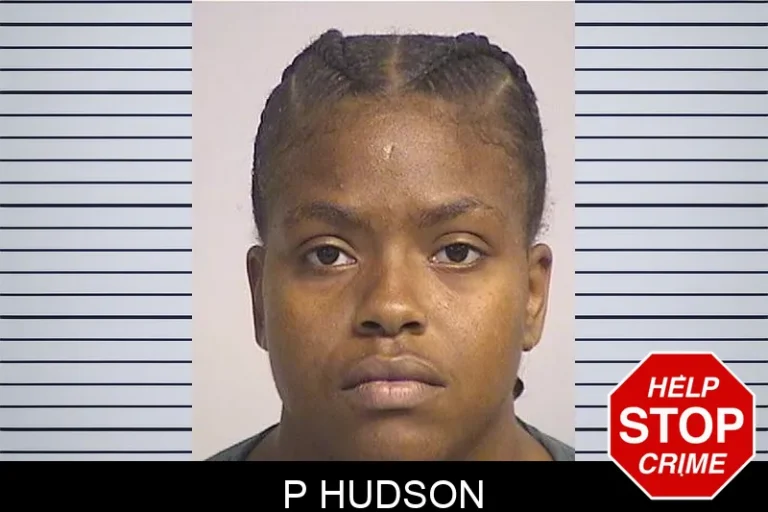 P Hudson