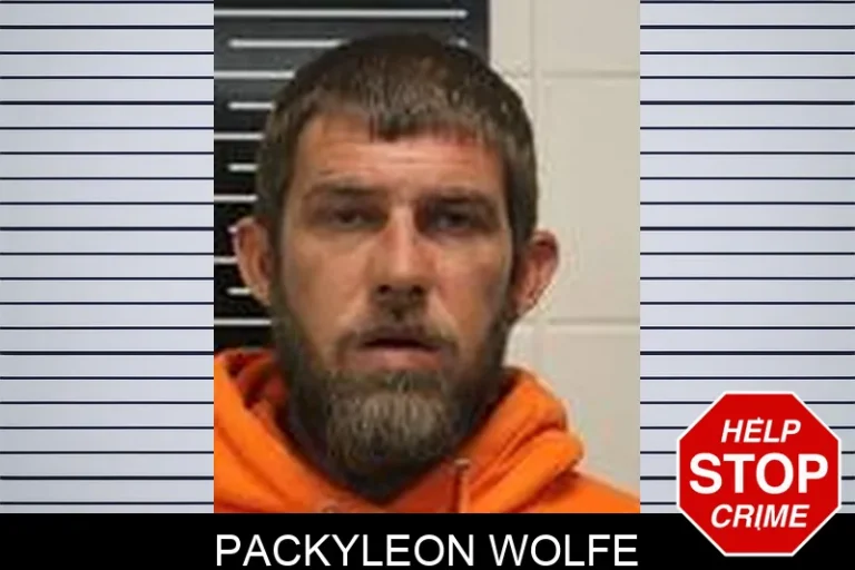 Packyleon Wolfe