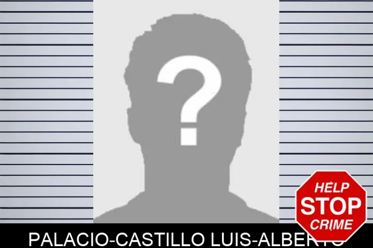 Palacio-Castillo Luis-Alberto