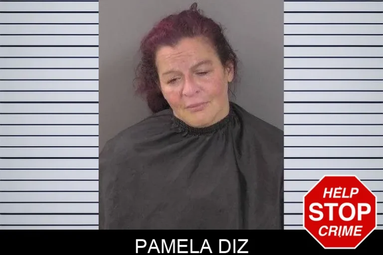 Pamela Diz