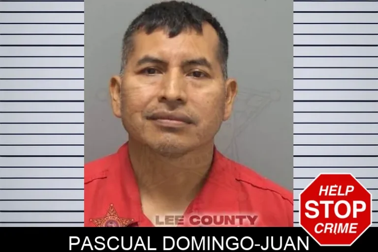 PascuAl Domingo-JuAn