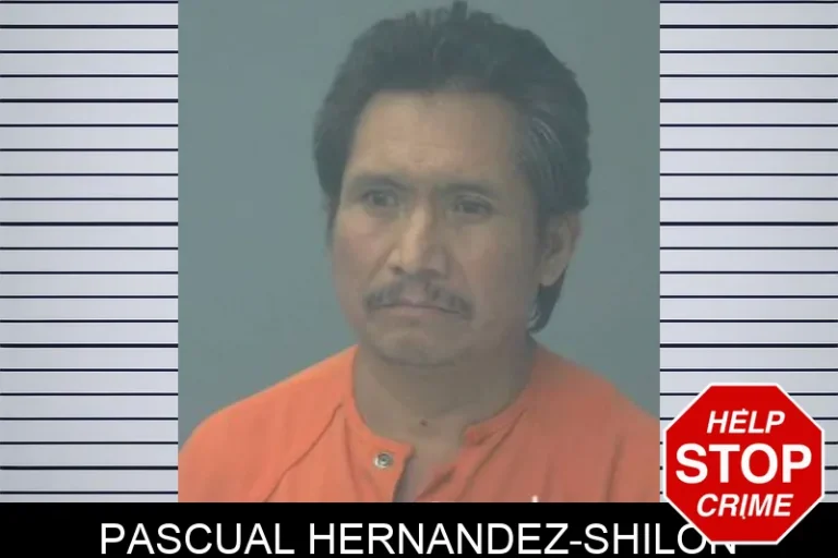 Pascual Hernandez-Shilon