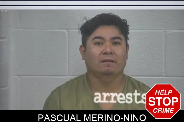 Pascual Merino-Nino