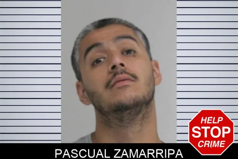 Pascual Zamarripa