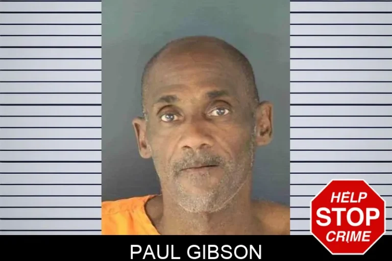 Paul Gibson