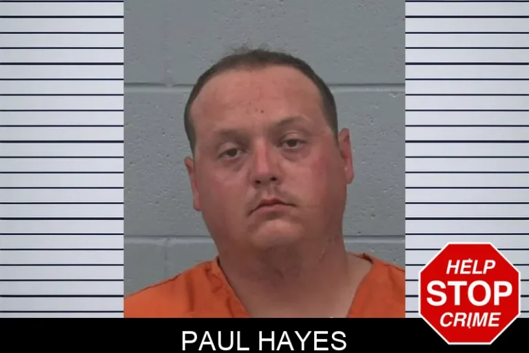Paul Hayes