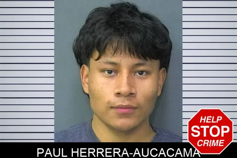 Paul Herrera-Aucacama