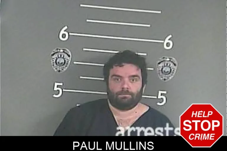 Paul Mullins