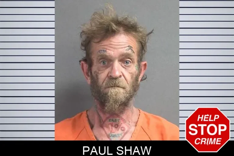 Paul Shaw