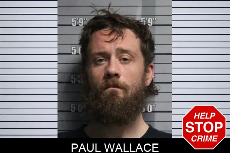 Paul Wallace