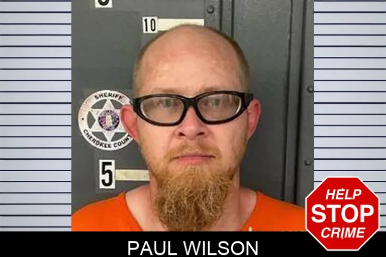 Paul Wilson