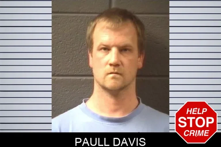 Paull Davis