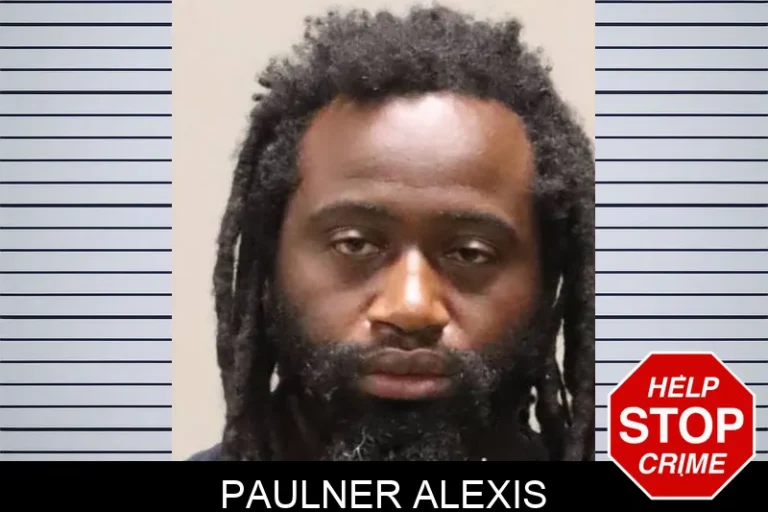 Paulner Alexis