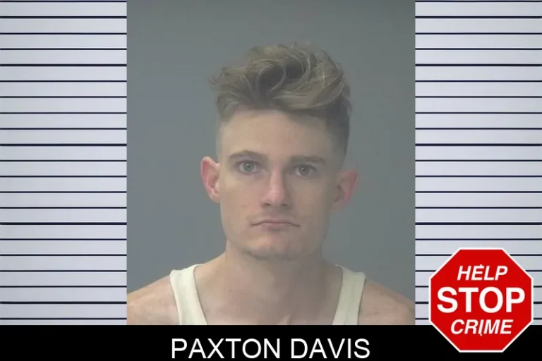 Paxton Davis