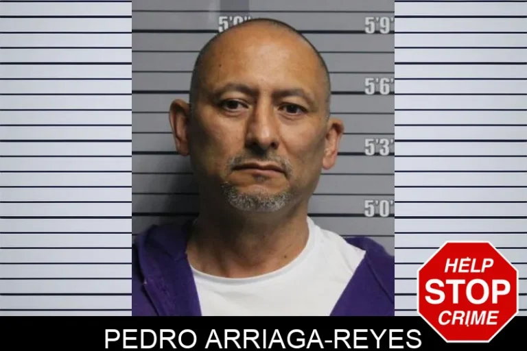 Pedro Arriaga-Reyes