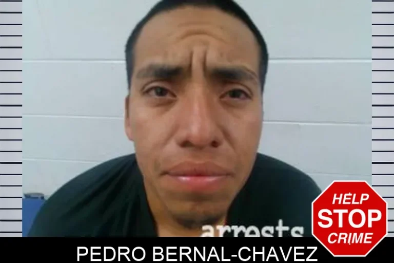 Pedro Bernal-Chavez