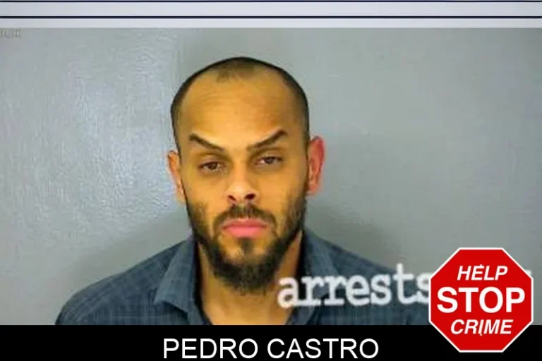 Pedro Castro
