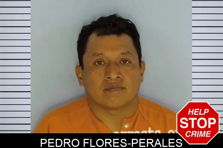 Pedro Flores-Perales