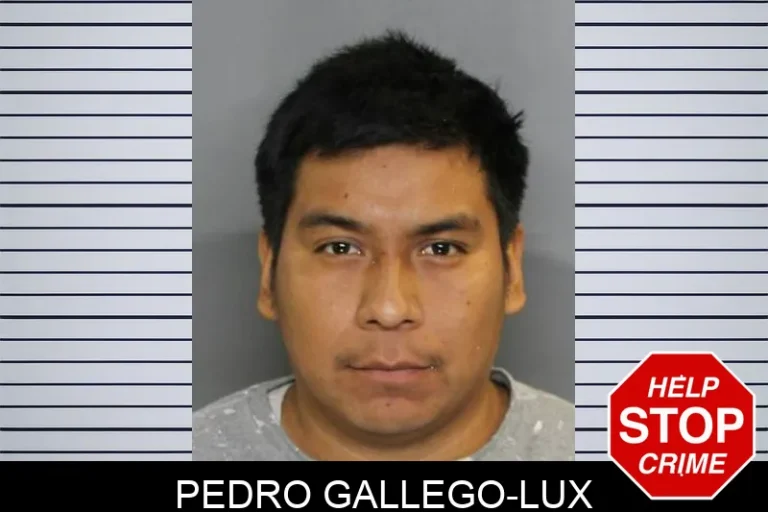 Pedro Gallego-Lux