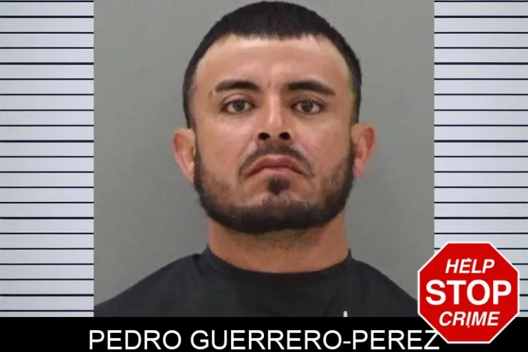Pedro Guerrero-Perez
