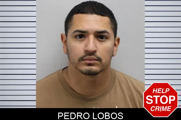 Pedro Lobos