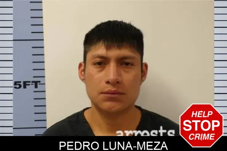Pedro Luna-Meza
