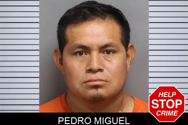 Pedro Miguel
