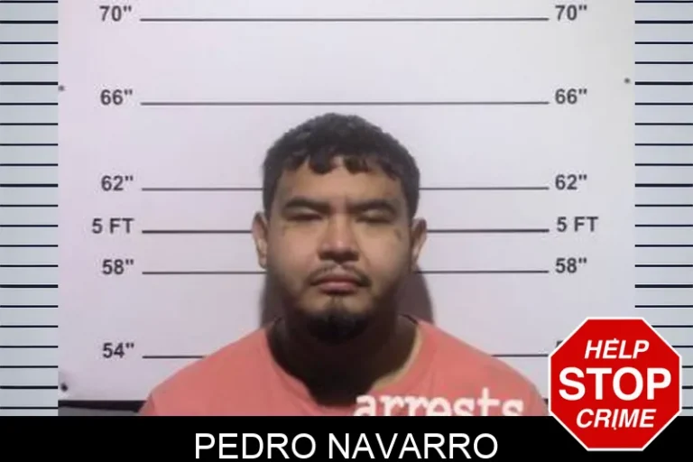 Pedro Navarro
