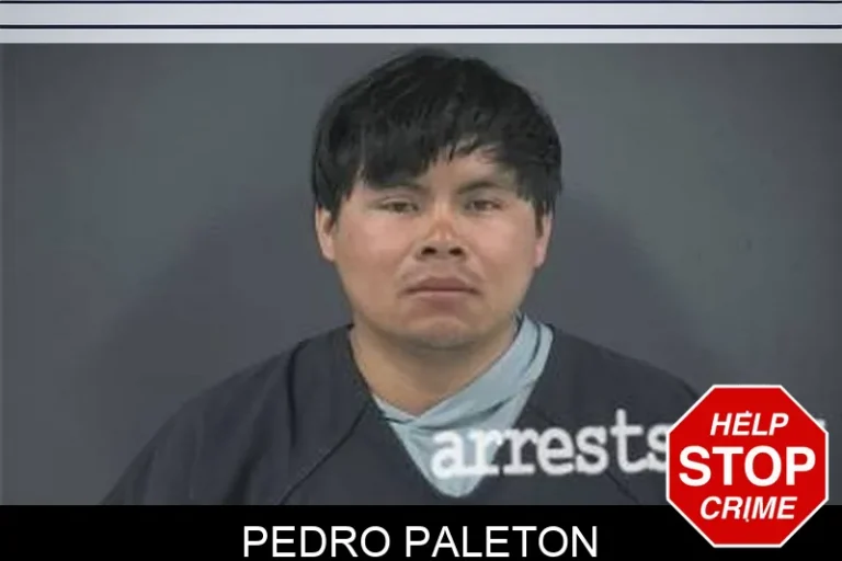 Pedro PaleTon