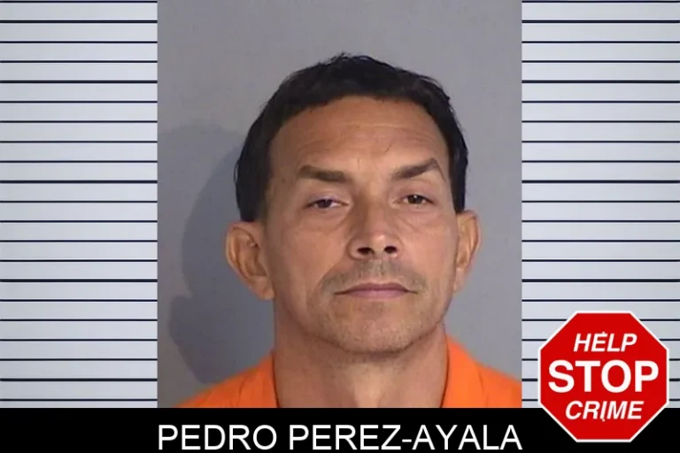Pedro Perez-Ayala