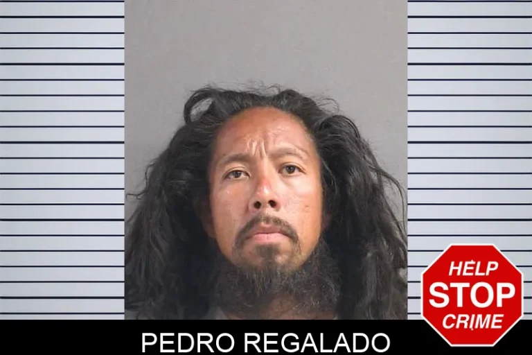 Pedro Regalado