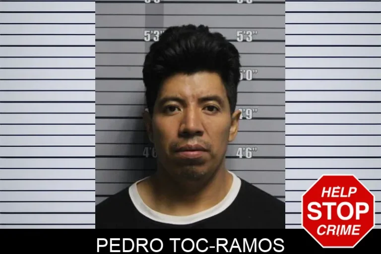 Pedro Toc-Ramos