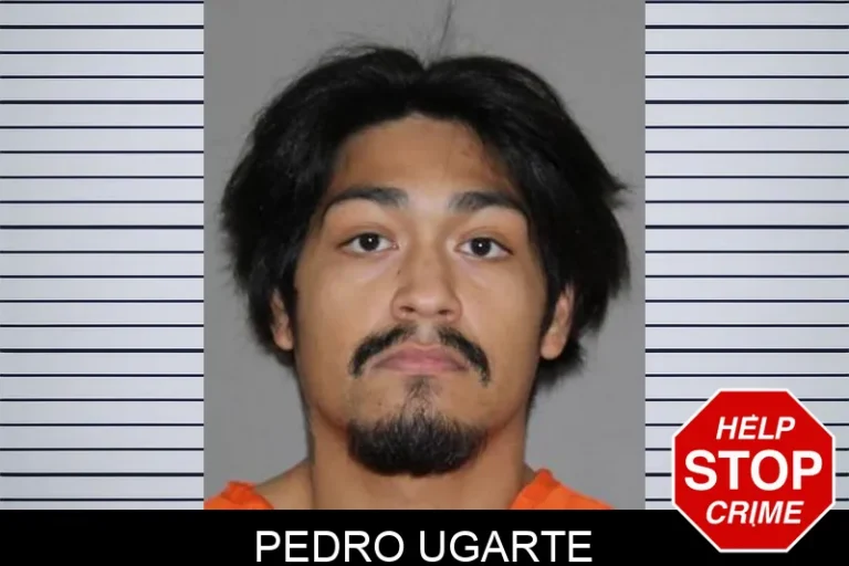 Pedro Ugarte