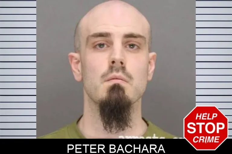 Peter Bachara