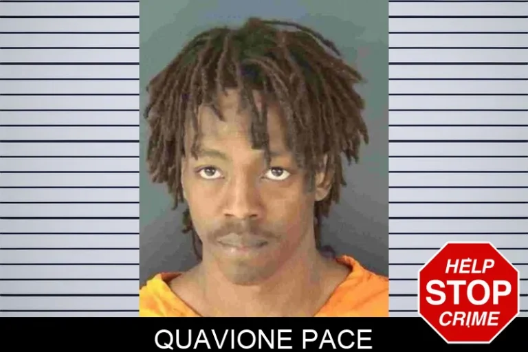QuAvione Pace