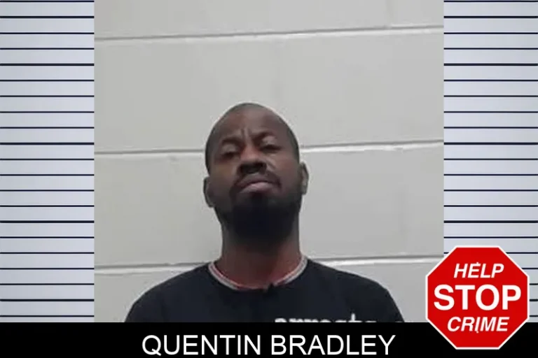 Quentin Bradley