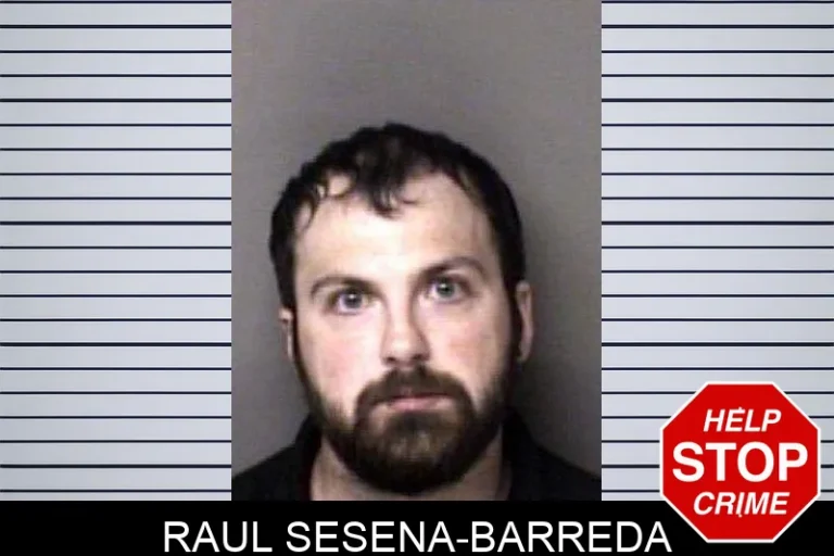 Raul Sesena-Barreda