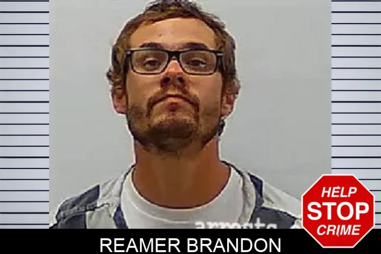 Reamer Brandon