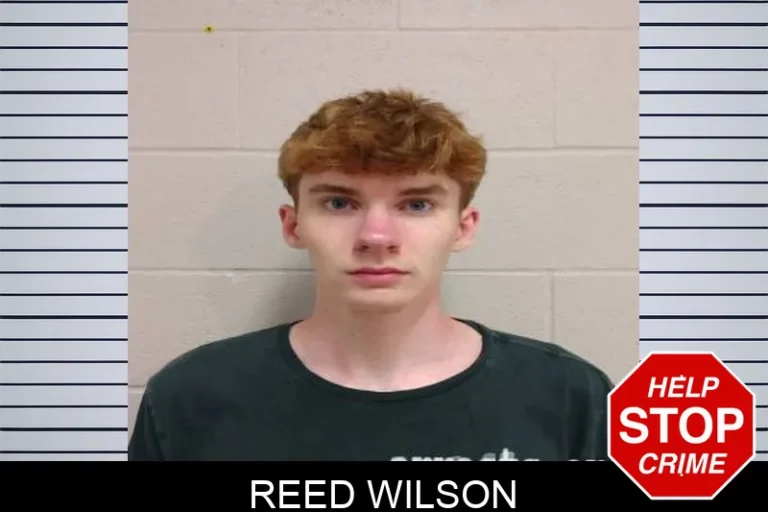 Reed Wilson