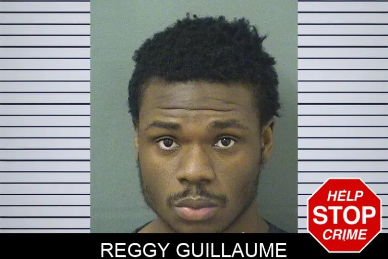 Reggy Guillaume